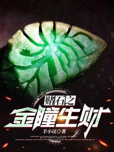 赌石之金瞳生财笔趣阁最新免费版